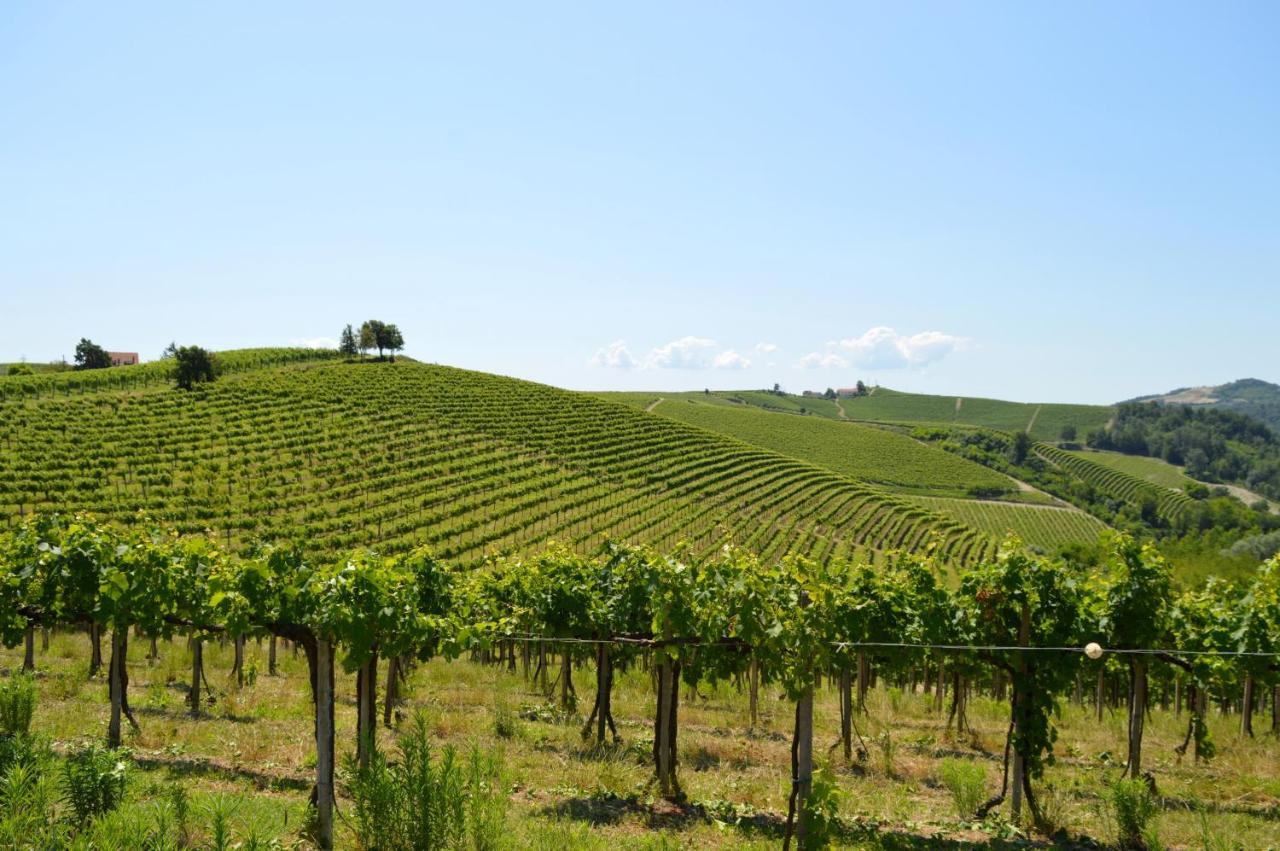 Bed & Tours Dimora Di Campagna Bed & Breakfast Castelnuovo Belbo Bagian luar foto