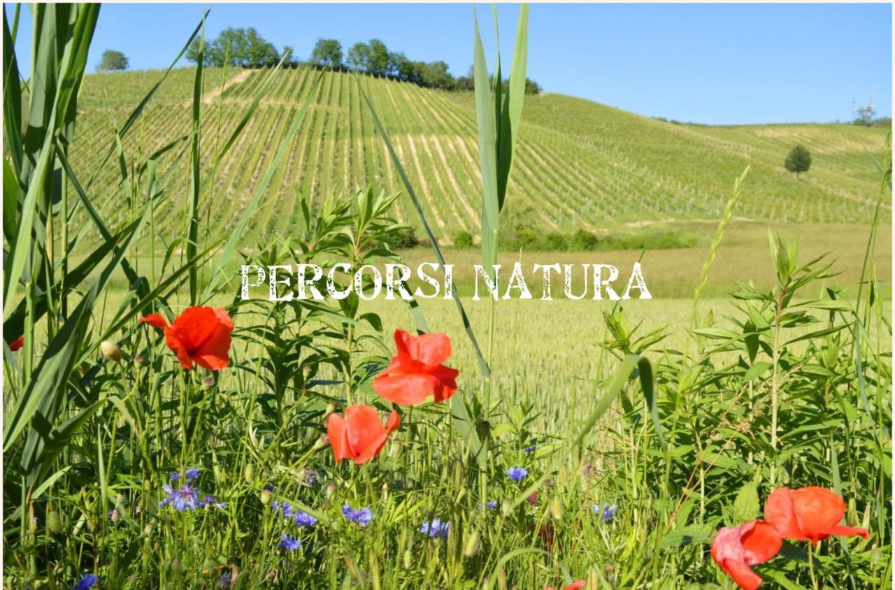 Bed & Tours Dimora Di Campagna Bed & Breakfast Castelnuovo Belbo Bagian luar foto