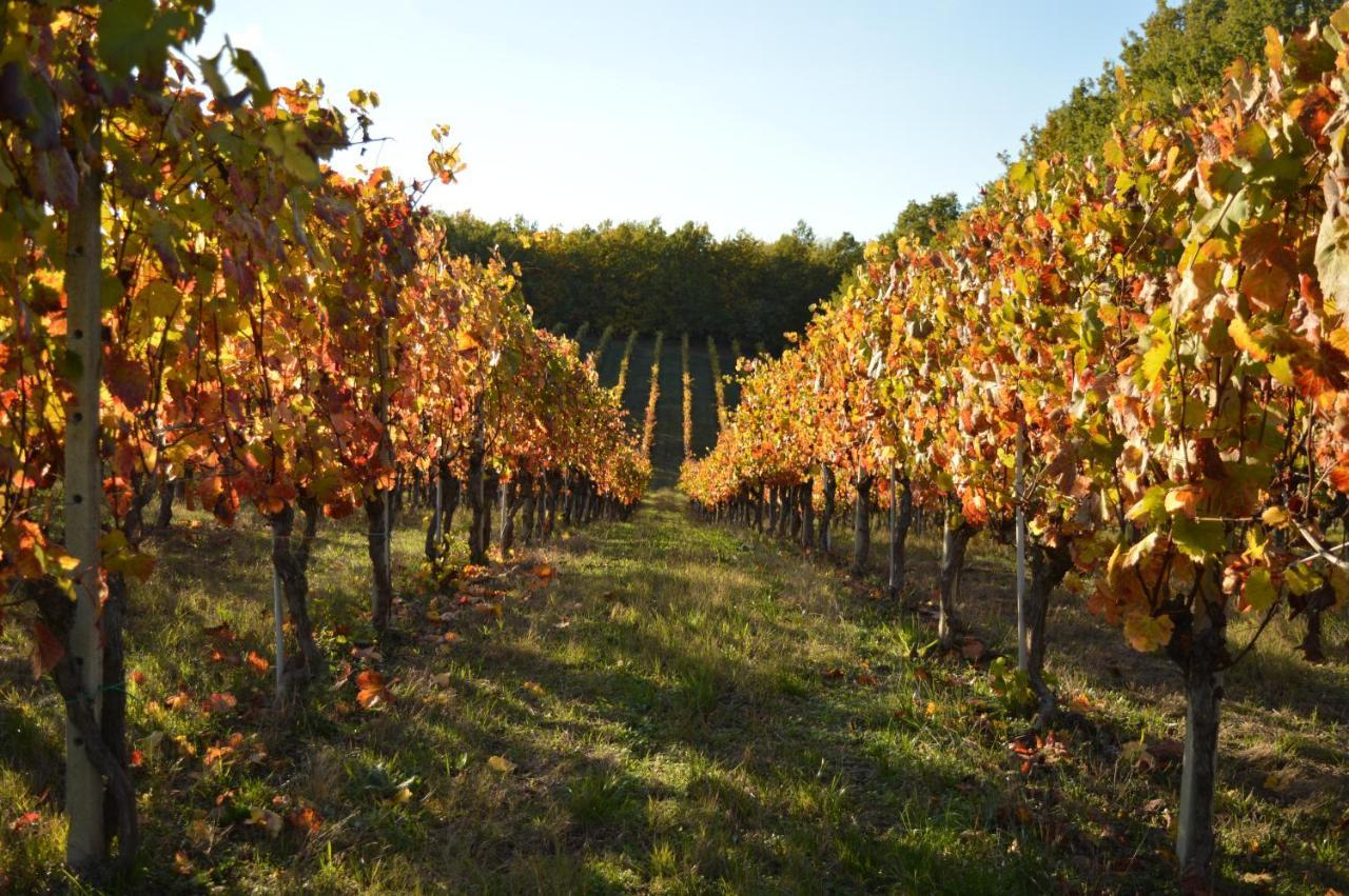 Bed & Tours Dimora Di Campagna Bed & Breakfast Castelnuovo Belbo Bagian luar foto