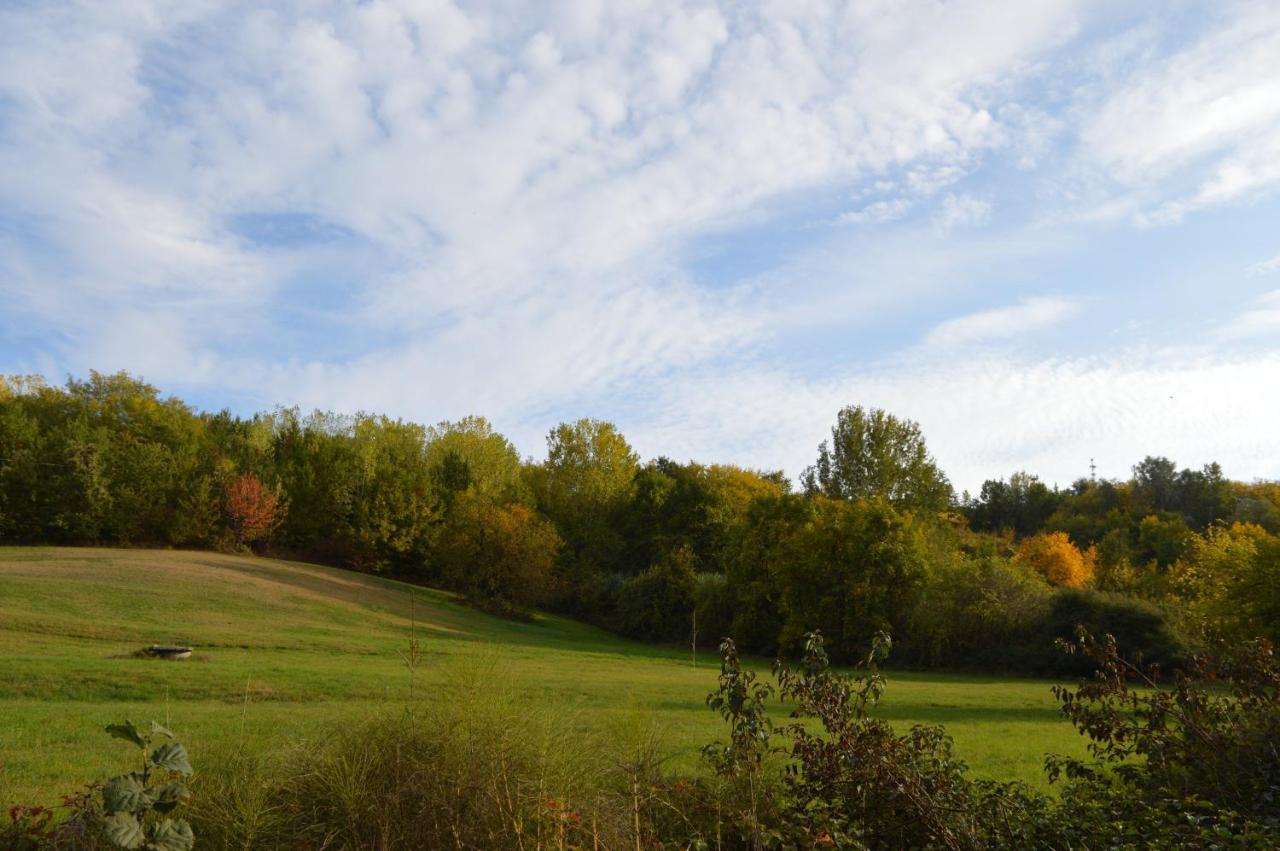Bed & Tours Dimora Di Campagna Bed & Breakfast Castelnuovo Belbo Bagian luar foto