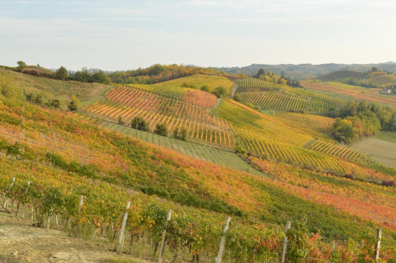 Bed & Tours Dimora Di Campagna Bed & Breakfast Castelnuovo Belbo Bagian luar foto