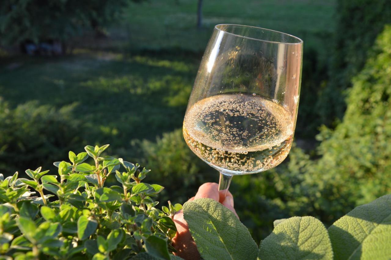 Bed & Tours Dimora Di Campagna Bed & Breakfast Castelnuovo Belbo Bagian luar foto