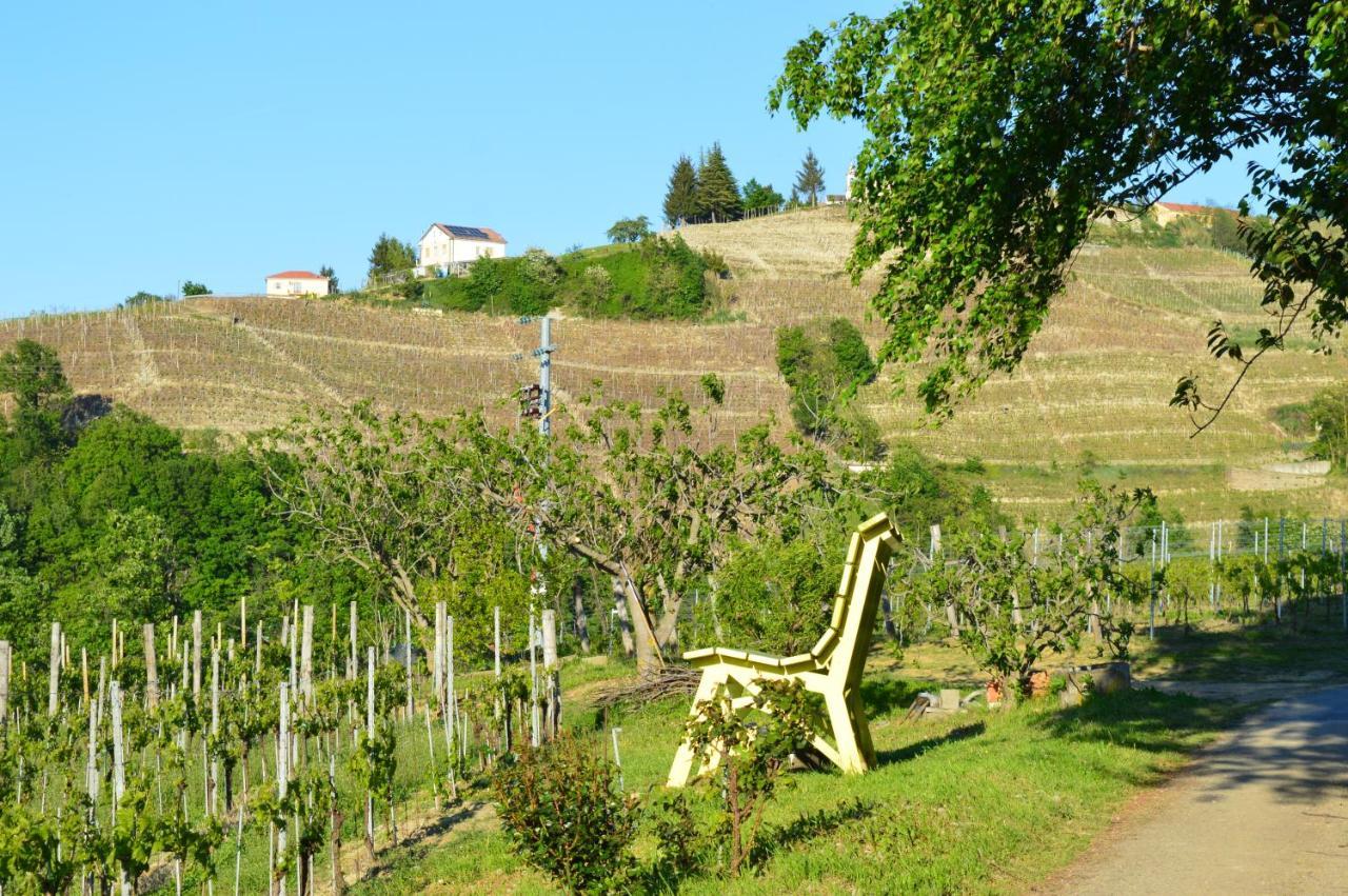 Bed & Tours Dimora Di Campagna Bed & Breakfast Castelnuovo Belbo Bagian luar foto