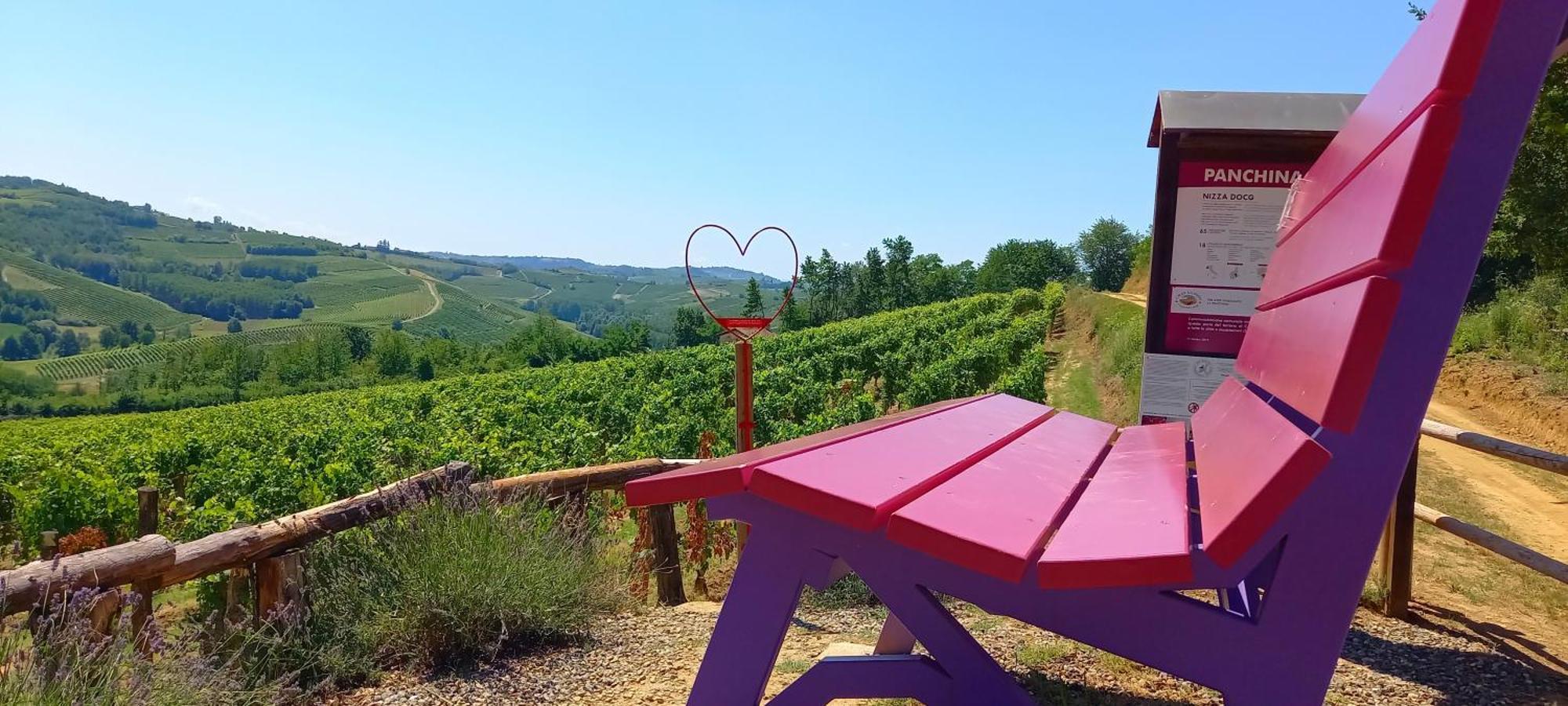 Bed & Tours Dimora Di Campagna Bed & Breakfast Castelnuovo Belbo Bagian luar foto